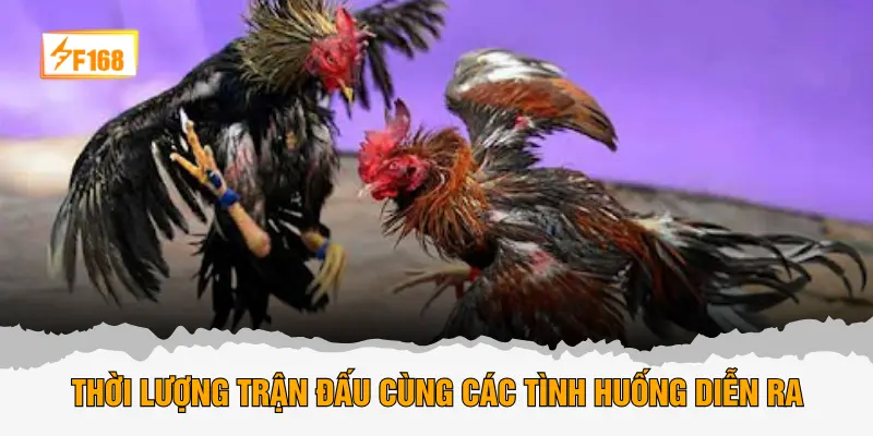 Thời lượng trận đấu cùng các tình huống diễn ra